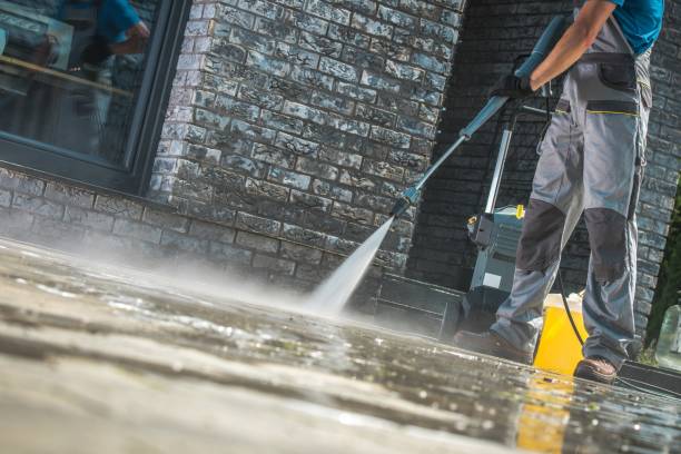 Pre-Holiday Cleaning in Federal Way, WA