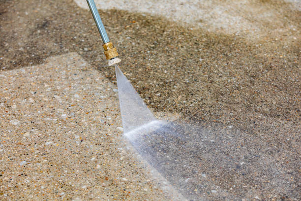 Best Animal Enclosure Cleaning  in Federal Y, WA